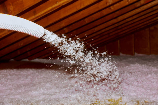 Best Insulation Contractors for Homes  in Colony Rk, PA