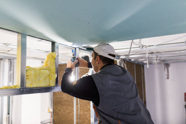 Best Attic Insulation Installation  in Colony Rk, PA