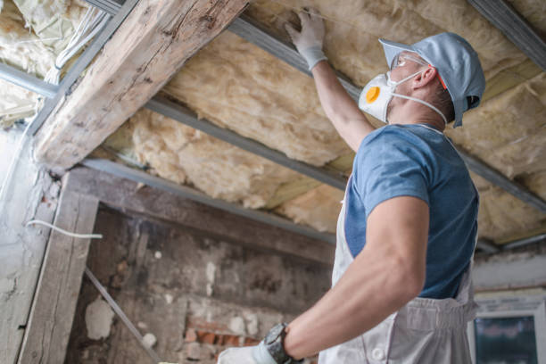 Best Insulation Replacement Services  in Colony Rk, PA