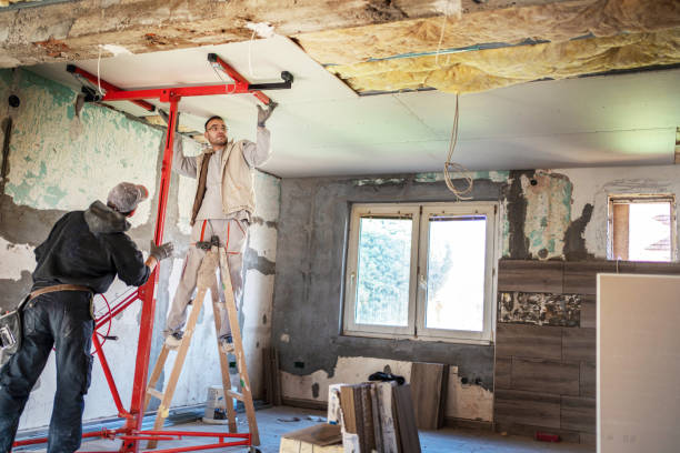 Best Home Insulation Services  in Colony Rk, PA